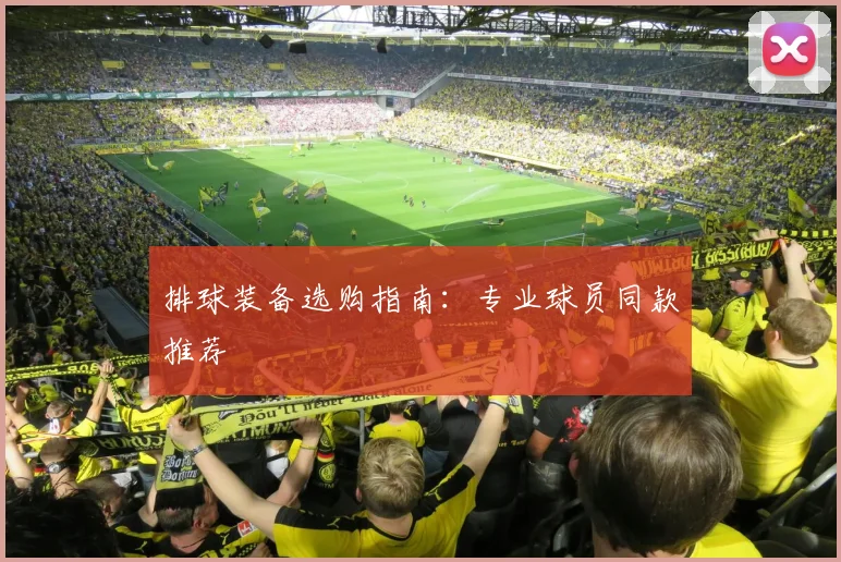 排球装备选购指南：专业球员同款推荐
