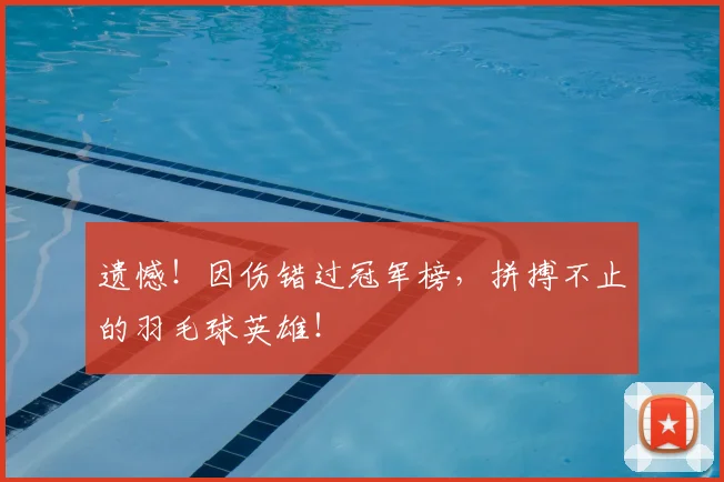 遗憾！因伤错过冠军榜，拼搏不止的羽毛球英雄！