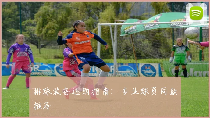 排球装备选购指南：专业球员同款推荐